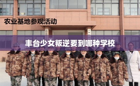 丰台少女叛逆要到哪种学校