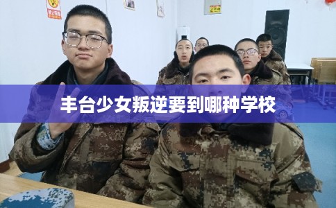 丰台少女叛逆要到哪种学校