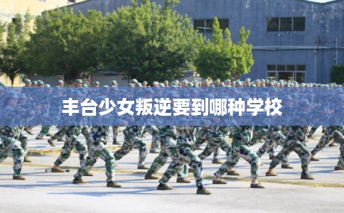 丰台少女叛逆要到哪种学校