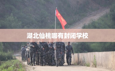湖北仙桃哪有封闭学校 湖北仙桃哪有封闭学校