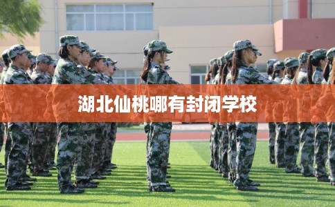 湖北仙桃哪有封闭学校
