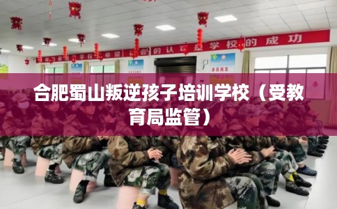 合肥蜀山叛逆孩子培训学校（受教育局监管）