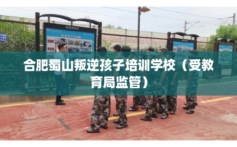 合肥蜀山叛逆孩子培训学校（受教育局监管）