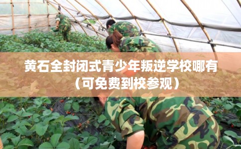黄石全封闭式青少年叛逆学校哪有（可免费到校参观）
