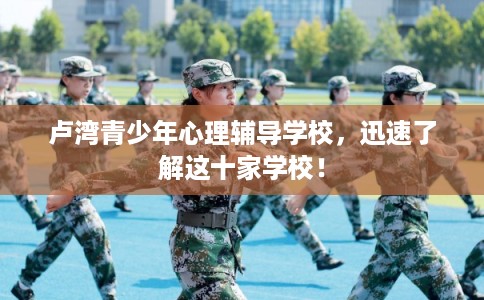 卢湾青少年心理辅导学校，迅速了解这十家学校！
