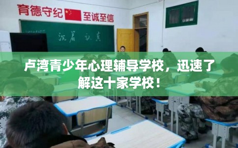 卢湾青少年心理辅导学校，迅速了解这十家学校！
