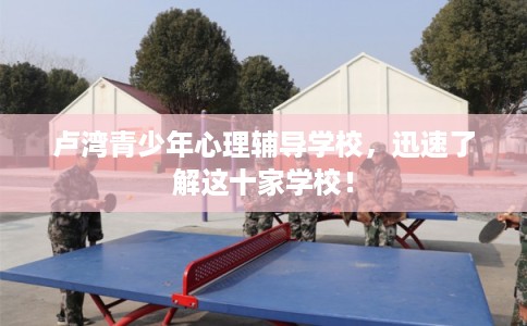 卢湾青少年心理辅导学校，迅速了解这十家学校！
