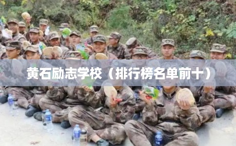黄石励志学校(排行榜名单前十) 黄石励志学校(排行榜名单前十)