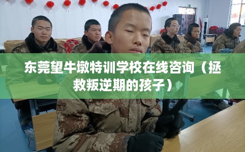 东莞望牛墩特训学校在线咨询（拯救叛逆期的孩子）