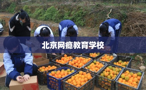 北京网瘾教育学校 北京网瘾教育学校