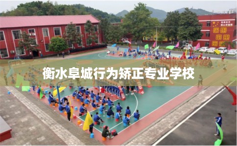 衡水阜城行为矫正专业学校