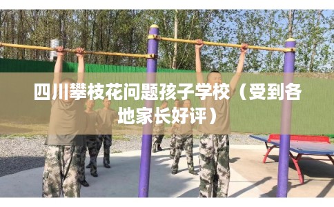 四川攀枝花问题孩子学校（受到各地家长好评）