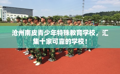 沧州南皮青少年特殊教育学校，汇集十家可靠的学校！