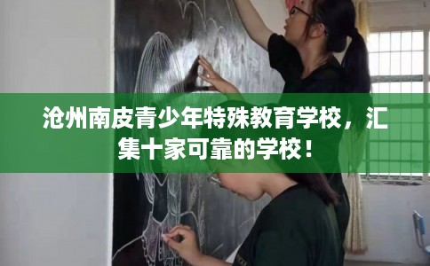 沧州南皮青少年特殊教育学校，汇集十家可靠的学校！