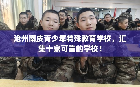 沧州南皮青少年特殊教育学校，汇集十家可靠的学校！