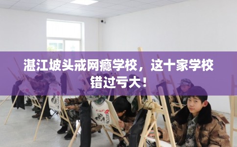 湛江坡头戒网瘾学校，这十家学校错过亏大！
