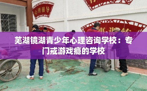芜湖镜湖青少年心理咨询学校：专门戒游戏瘾的学校