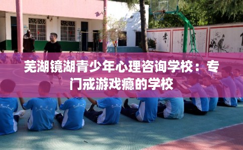 芜湖镜湖青少年心理咨询学校：专门戒游戏瘾的学校