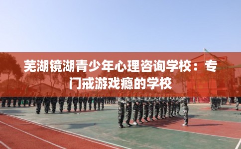 芜湖镜湖青少年心理咨询学校：专门戒游戏瘾的学校
