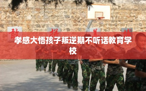 孝感大悟孩子叛逆期不听话教育学校 孝感大悟孩子叛逆期不听话教育学校