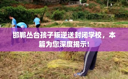 邯郸丛台孩子叛逆送封闭学校，本篇为您深度揭示!