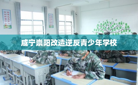 咸宁崇阳改造逆反青少年学校