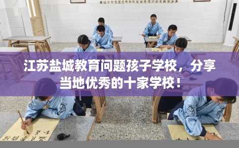 江苏盐城教育问题孩子学校，分享当地优秀的十家学校！