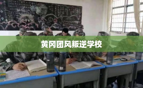 黄冈团风叛逆学校