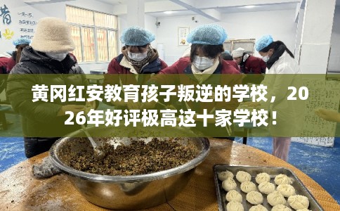 黄冈红安教育孩子叛逆的学校，2026年好评极高这十家学校！