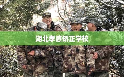 湖北孝感矫正学校 湖北孝感矫正学校