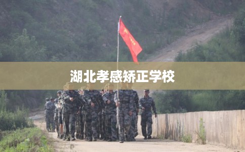 湖北孝感矫正学校 湖北孝感矫正学校