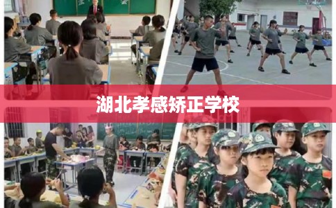 湖北孝感矫正学校