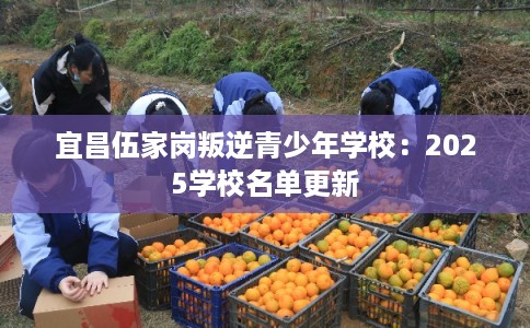 宜昌伍家岗叛逆青少年学校：2025学校名单更新