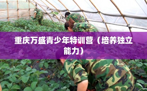 重庆万盛青少年特训营（培养独立能力）