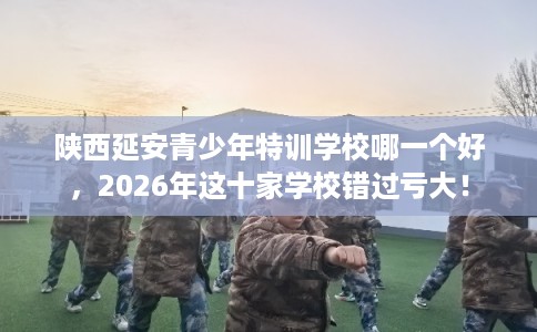 陕西延安青少年特训学校哪一个好，2026年这十家学校错过亏大！