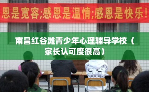 南昌红谷滩青少年心理辅导学校(家长认可度很高) 南昌红谷滩青少年心理辅导学校(家长认可度很高)