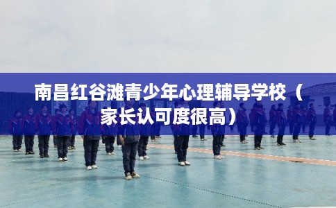南昌红谷滩青少年心理辅导学校(家长认可度很高) 南昌红谷滩青少年心理辅导学校(家长认可度很高)
