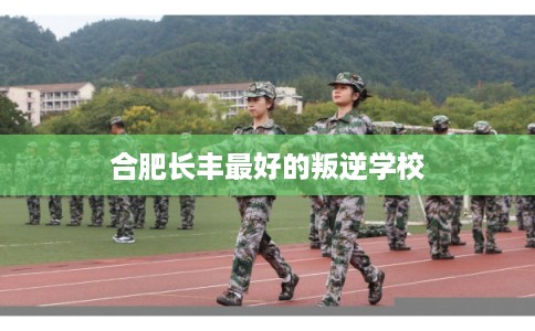 合肥长丰最好的叛逆学校