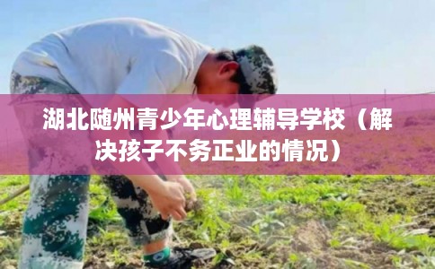 湖北随州青少年心理辅导学校（解决孩子不务正业的情况）