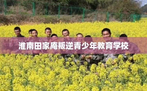 淮南田家庵叛逆青少年教育学校