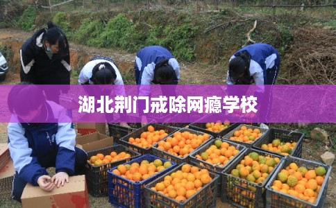 湖北荆门戒除网瘾学校 湖北荆门戒除网瘾学校