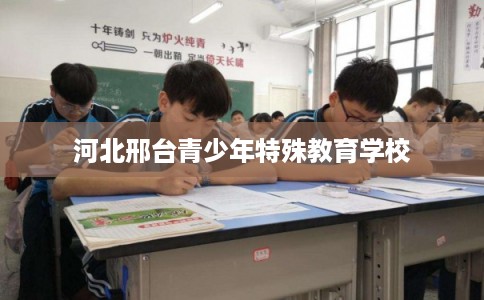 河北邢台青少年特殊教育学校