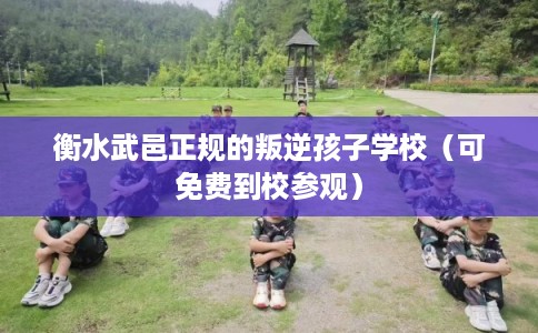 衡水武邑正规的叛逆孩子学校(可免费到校参观) 衡水武邑正规的叛逆孩子学校(可免费到校参观)