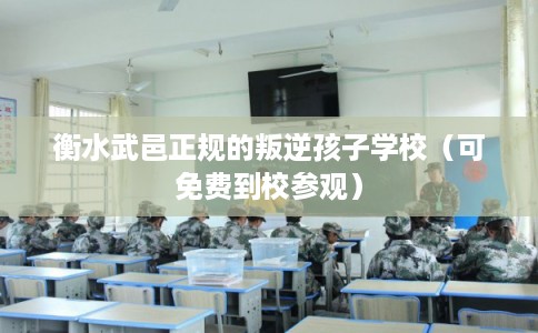 衡水武邑正规的叛逆孩子学校(可免费到校参观) 衡水武邑正规的叛逆孩子学校(可免费到校参观)