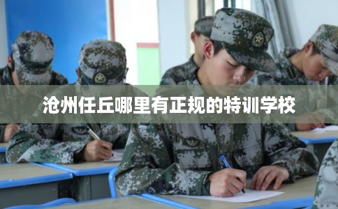 沧州任丘哪里有正规的特训学校