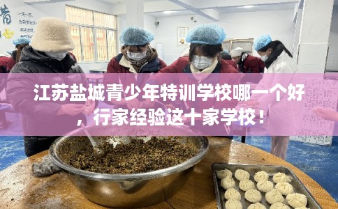 江苏盐城青少年特训学校哪一个好，行家经验这十家学校！