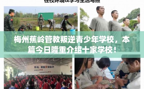 梅州蕉岭管教叛逆青少年学校，本篇今日隆重介绍十家学校！