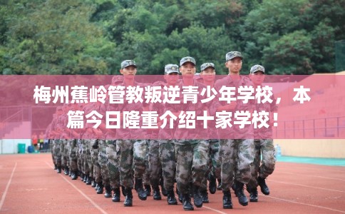梅州蕉岭管教叛逆青少年学校，本篇今日隆重介绍十家学校！