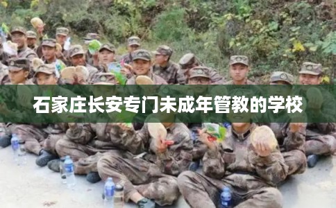 石家庄长安专门未成年管教的学校