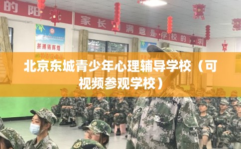 北京东城青少年心理辅导学校（可视频参观学校）